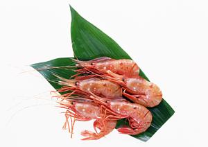 名古屋で絶品のひつまぶしを楽しむなら「うなぎのしら河」：4店舗と持ち帰りサービスの詳細ガイド