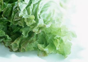 断食道場の効果と健康増進法を徹底解説！