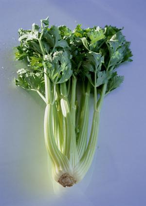 【公式】大阪のお好み焼 ぼてぢゅうグループ：地域に根ざした味とグローバル展開の魅力