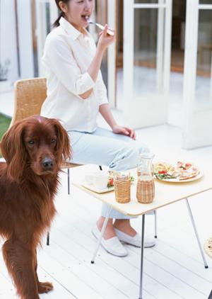 神戸牛がお取り寄せ通販できる！
