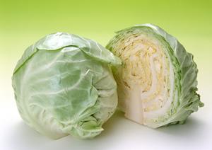 宅配弁当をお探しの方におすすめ