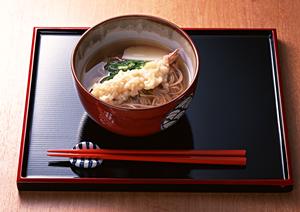 【2026年最新】mochiの効果と選び方を徹底解説!初心者でもわかる完全ガイド
